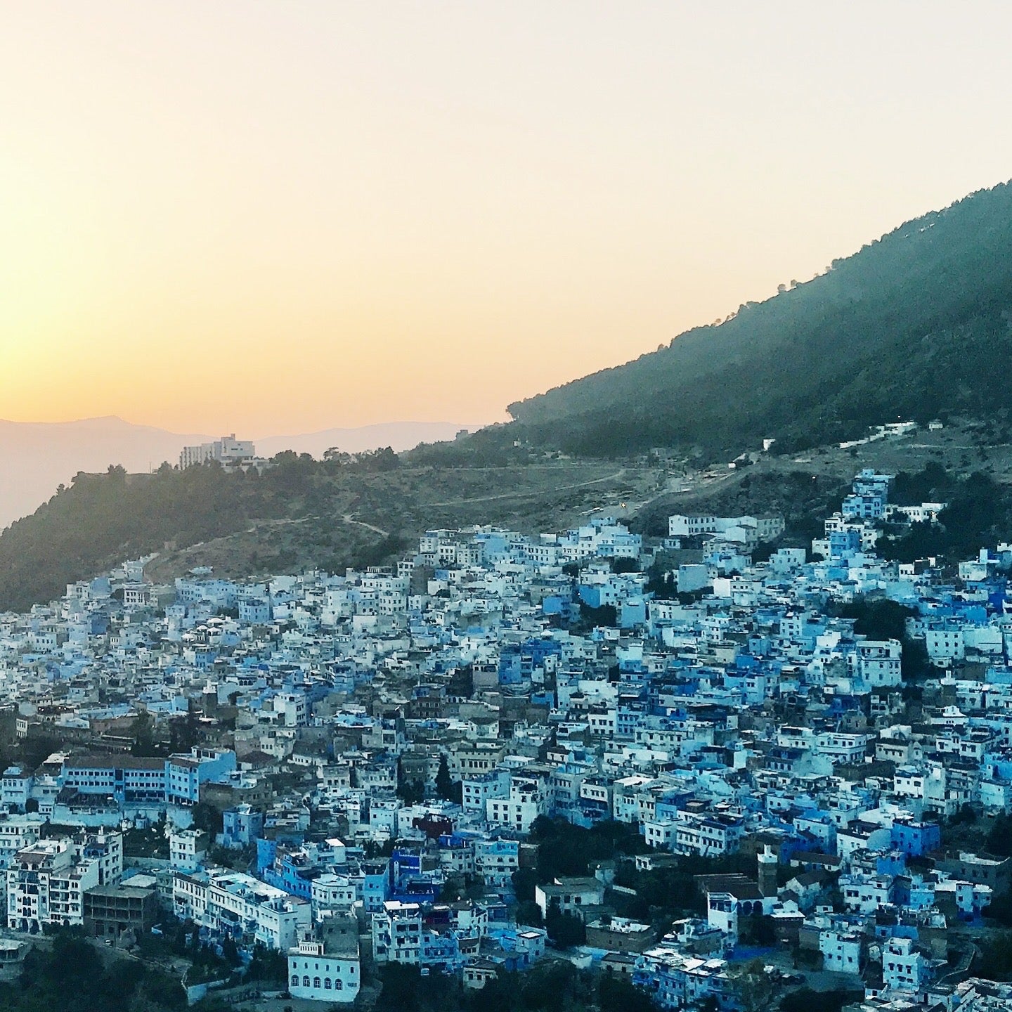 | JU31   ℂℍ𝔼𝔽ℂℍ𝔸𝕆𝕌𝔼ℕ | 藍星花耳環